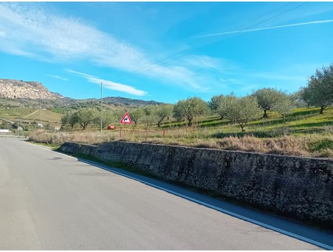 Anteprima foto 4 - Terreno Agricolo/Coltura in Vendita a Leonforte (Enna)