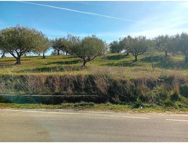 Anteprima foto 5 - Terreno Agricolo/Coltura in Vendita a Leonforte (Enna)
