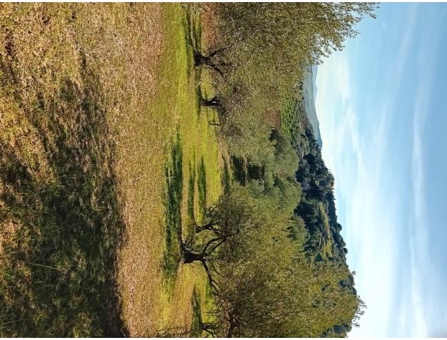Anteprima foto 6 - Terreno Agricolo/Coltura in Vendita a Leonforte (Enna)