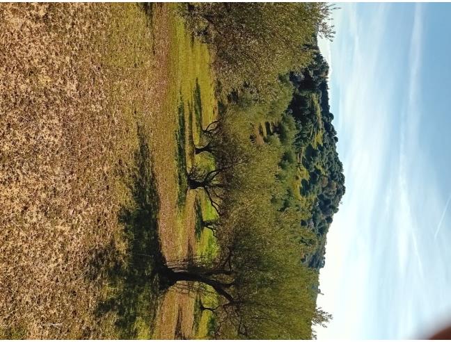 Anteprima foto 7 - Terreno Agricolo/Coltura in Vendita a Leonforte (Enna)