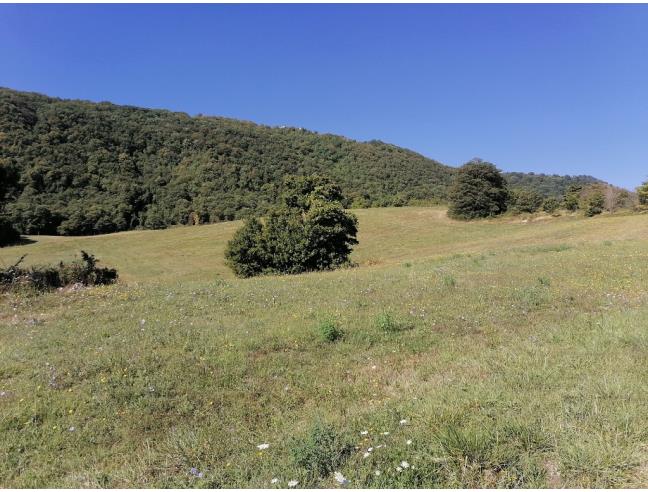 Anteprima foto 5 - Terreno Agricolo/Coltura in Vendita a Lioni (Avellino)