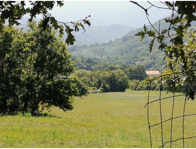 Anteprima foto 6 - Terreno Agricolo/Coltura in Vendita a Lioni (Avellino)