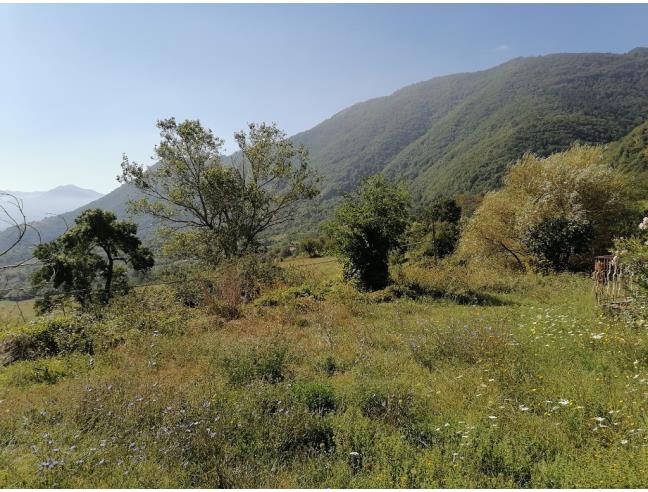 Anteprima foto 7 - Terreno Agricolo/Coltura in Vendita a Lioni (Avellino)