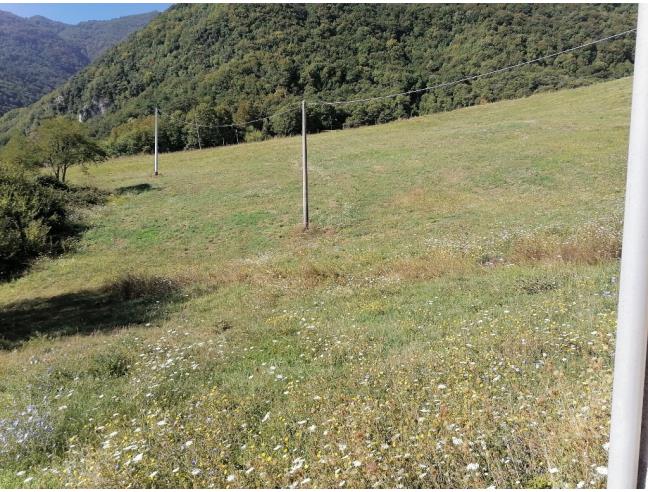 Anteprima foto 8 - Terreno Agricolo/Coltura in Vendita a Lioni (Avellino)