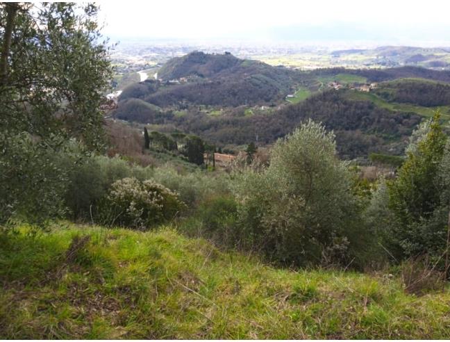 Anteprima foto 4 - Terreno Agricolo/Coltura in Vendita a Lucca - Aquilea