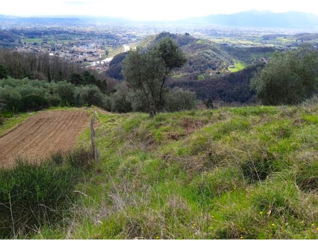 Anteprima foto 6 - Terreno Agricolo/Coltura in Vendita a Lucca - Aquilea