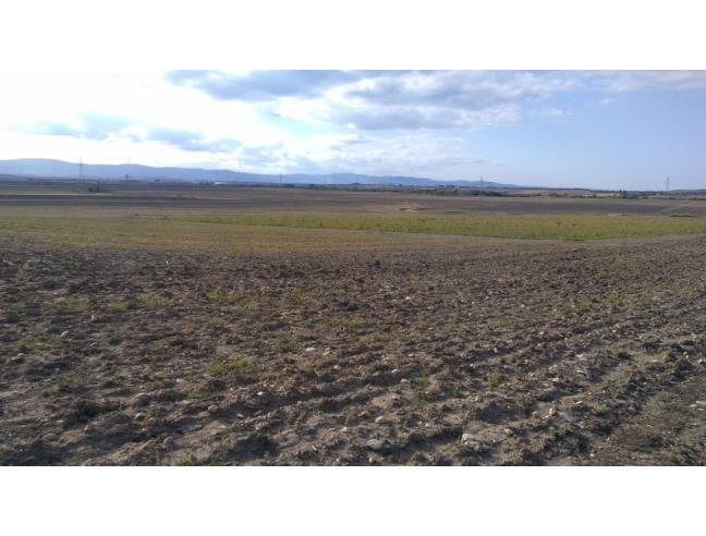 Anteprima foto 1 - Terreno Agricolo/Coltura in Vendita a Lucera (Foggia)