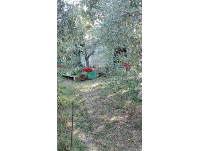 Anteprima foto 4 - Terreno Agricolo/Coltura in Vendita a Lucignano (Arezzo)