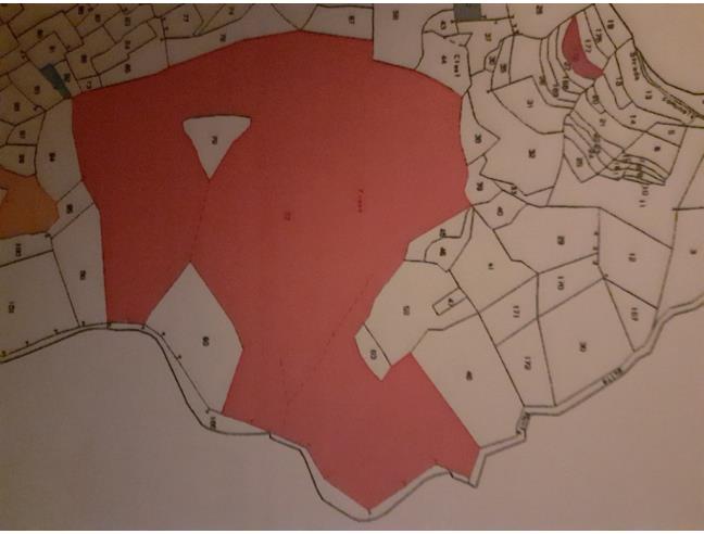 Anteprima foto 3 - Terreno Agricolo/Coltura in Vendita a Lumarzo - Boasi