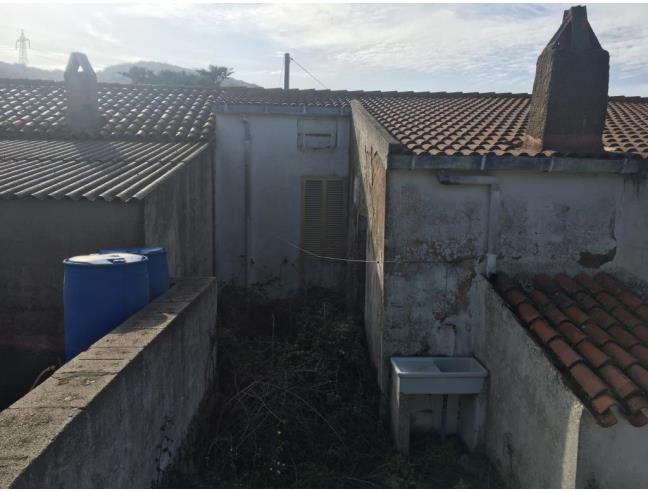 Anteprima foto 1 - Terreno Agricolo/Coltura in Vendita a Luogosanto (Sassari)