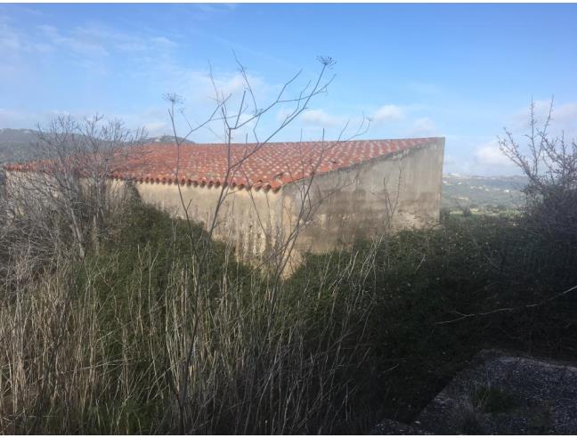 Anteprima foto 2 - Terreno Agricolo/Coltura in Vendita a Luogosanto (Sassari)