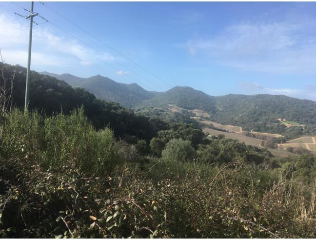 Anteprima foto 4 - Terreno Agricolo/Coltura in Vendita a Luogosanto (Sassari)
