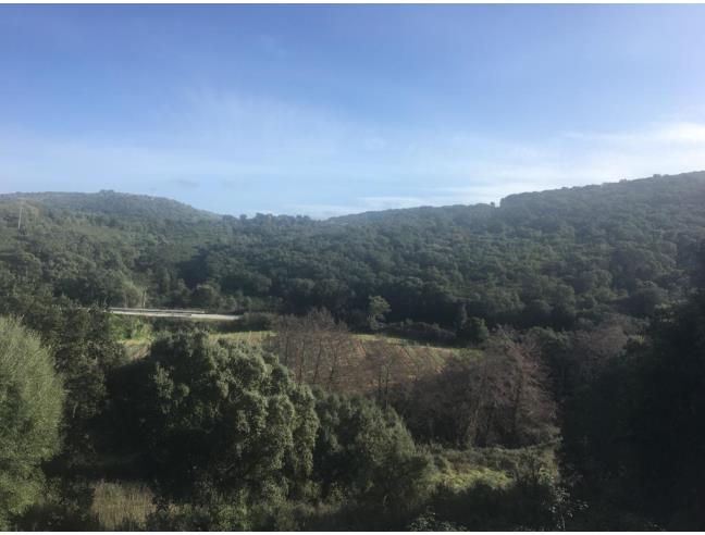 Anteprima foto 6 - Terreno Agricolo/Coltura in Vendita a Luogosanto (Sassari)