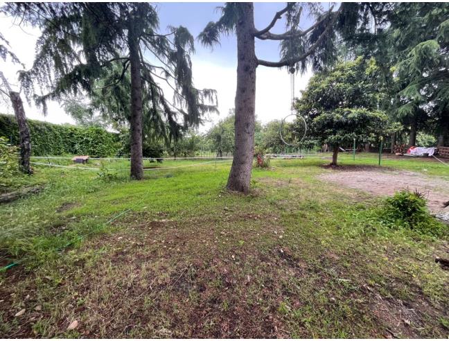 Anteprima foto 4 - Terreno Agricolo/Coltura in Vendita a Lurago d'Erba (Como)