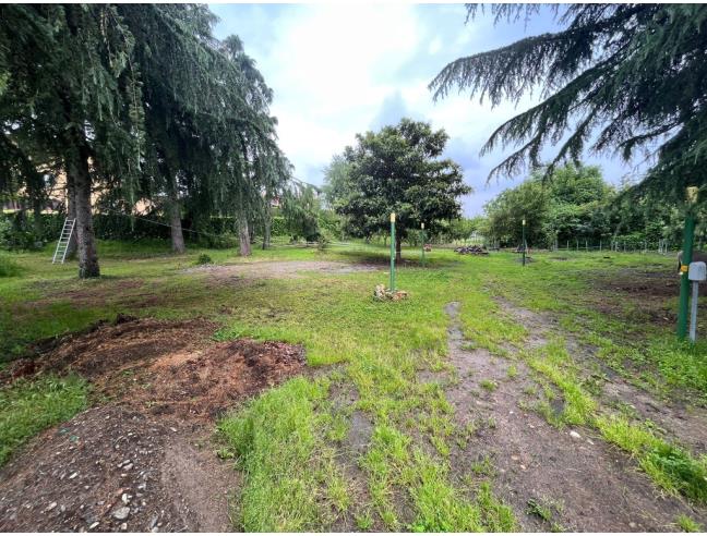 Anteprima foto 5 - Terreno Agricolo/Coltura in Vendita a Lurago d'Erba (Como)