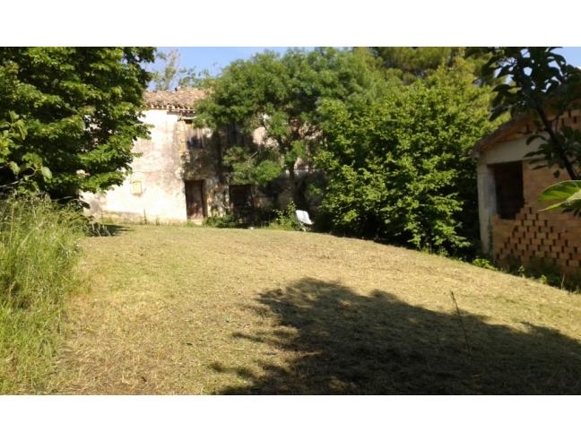 Anteprima foto 1 - Terreno Agricolo/Coltura in Vendita a Maiolati Spontini (Ancona)