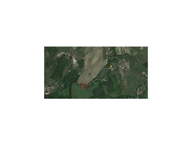 Anteprima foto 4 - Terreno Agricolo/Coltura in Vendita a Maiolati Spontini (Ancona)