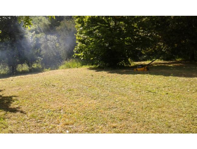 Anteprima foto 5 - Terreno Agricolo/Coltura in Vendita a Maiolati Spontini (Ancona)
