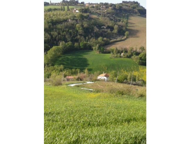 Anteprima foto 6 - Terreno Agricolo/Coltura in Vendita a Maiolati Spontini (Ancona)