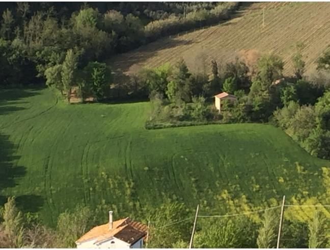 Anteprima foto 7 - Terreno Agricolo/Coltura in Vendita a Maiolati Spontini (Ancona)