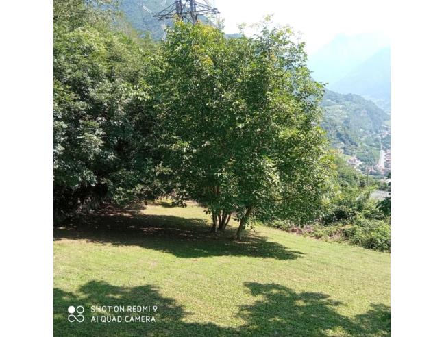 Anteprima foto 1 - Terreno Agricolo/Coltura in Vendita a Malegno (Brescia)