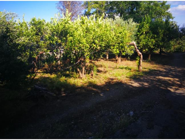Anteprima foto 3 - Terreno Agricolo/Coltura in Vendita a Mascali - Nunziata