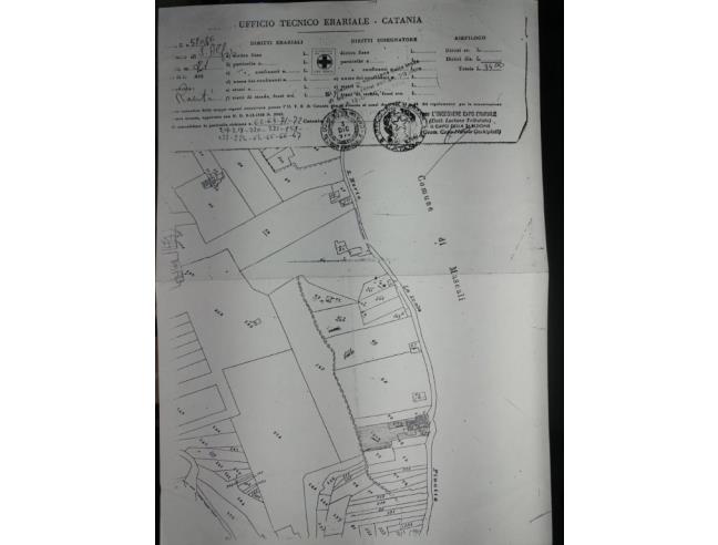 Anteprima foto 6 - Terreno Agricolo/Coltura in Vendita a Mascali - Nunziata