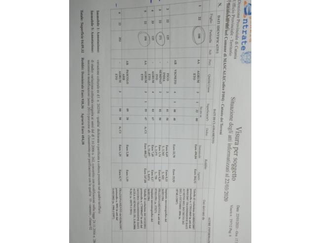 Anteprima foto 7 - Terreno Agricolo/Coltura in Vendita a Mascali - Nunziata
