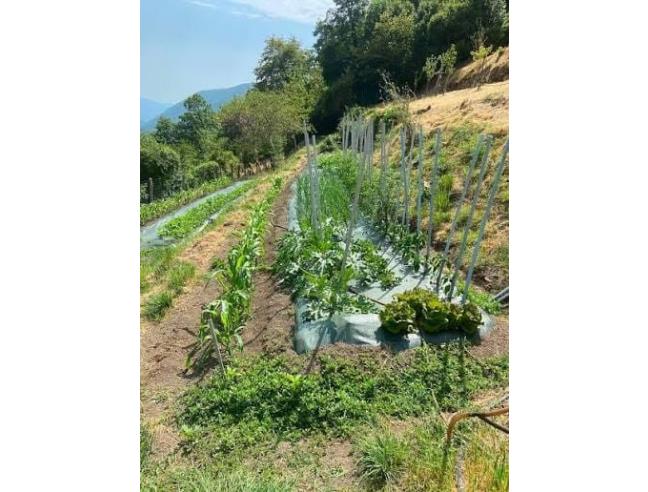 Anteprima foto 2 - Terreno Agricolo/Coltura in Vendita a Massa - Marina Di Massa
