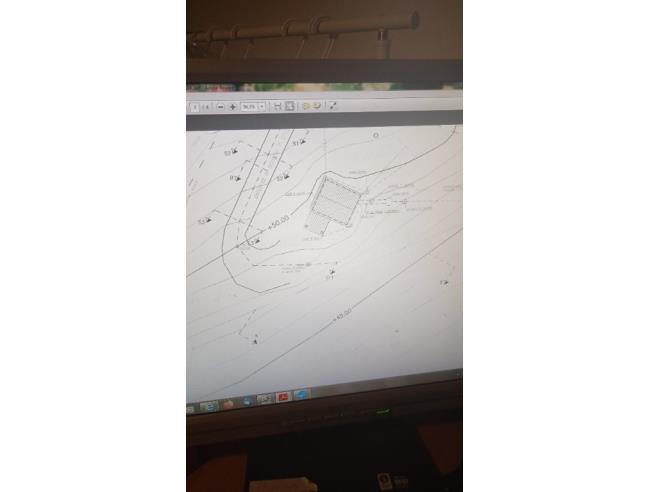 Anteprima foto 6 - Terreno Agricolo/Coltura in Vendita a Massa Marittima - Prata