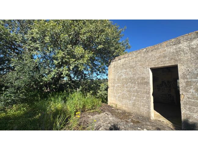 Anteprima foto 3 - Terreno Agricolo/Coltura in Vendita a Mazara del Vallo (Trapani)