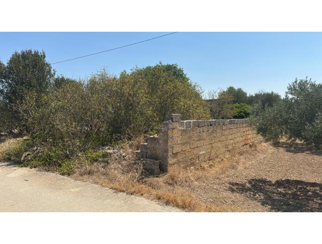 Anteprima foto 4 - Terreno Agricolo/Coltura in Vendita a Mazara del Vallo (Trapani)