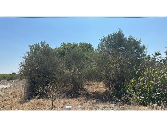 Anteprima foto 5 - Terreno Agricolo/Coltura in Vendita a Mazara del Vallo (Trapani)