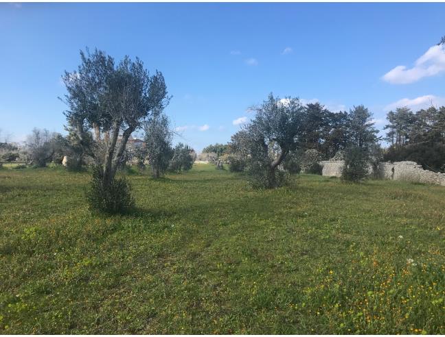 Anteprima foto 1 - Terreno Agricolo/Coltura in Vendita a Melendugno - Borgagne