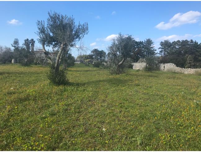 Anteprima foto 2 - Terreno Agricolo/Coltura in Vendita a Melendugno - Borgagne