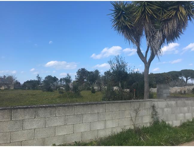 Anteprima foto 3 - Terreno Agricolo/Coltura in Vendita a Melendugno - Borgagne