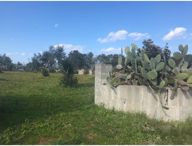 Anteprima foto 4 - Terreno Agricolo/Coltura in Vendita a Melendugno - Borgagne
