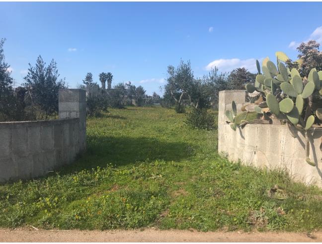 Anteprima foto 5 - Terreno Agricolo/Coltura in Vendita a Melendugno - Borgagne