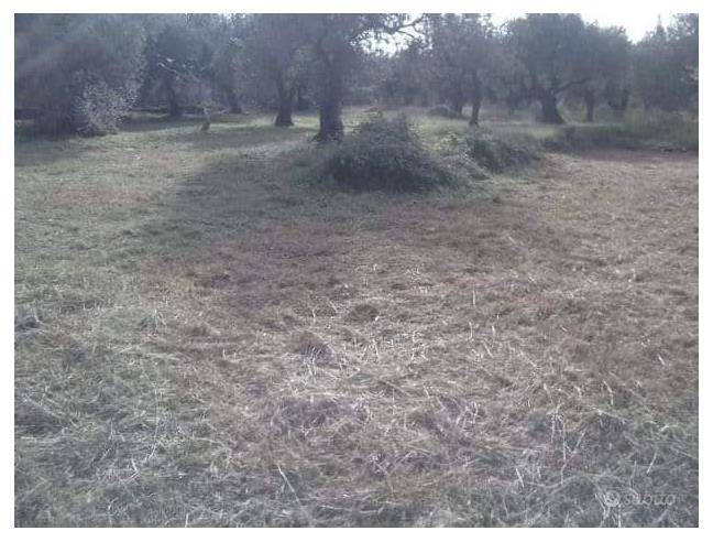 Anteprima foto 1 - Terreno Agricolo/Coltura in Vendita a Messina (Messina)