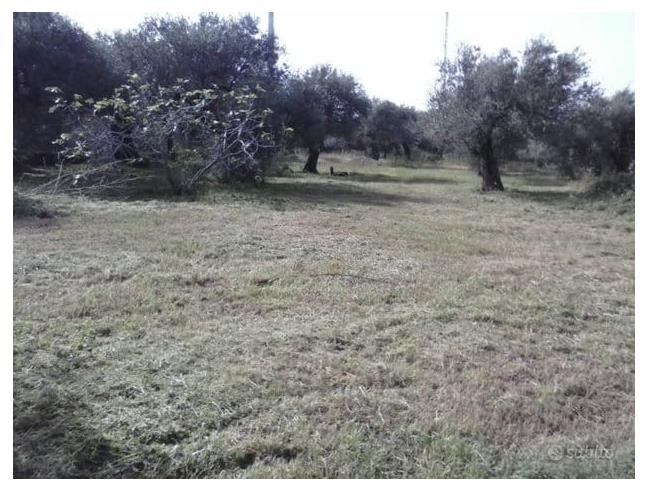 Anteprima foto 2 - Terreno Agricolo/Coltura in Vendita a Messina (Messina)