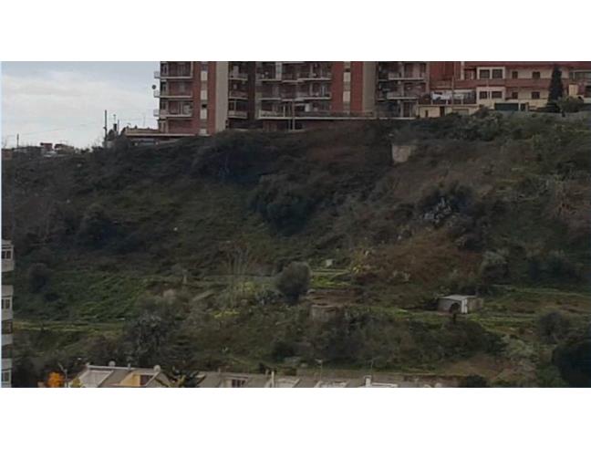 Anteprima foto 2 - Terreno Agricolo/Coltura in Vendita a Messina (Messina)