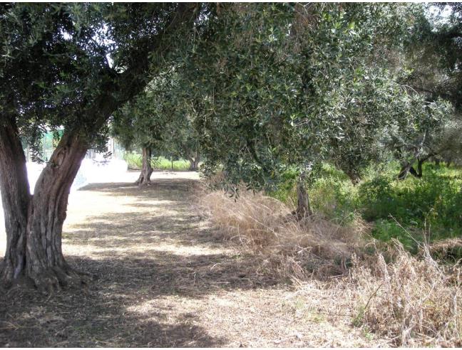 Anteprima foto 1 - Terreno Agricolo/Coltura in Vendita a Milazzo (Messina)