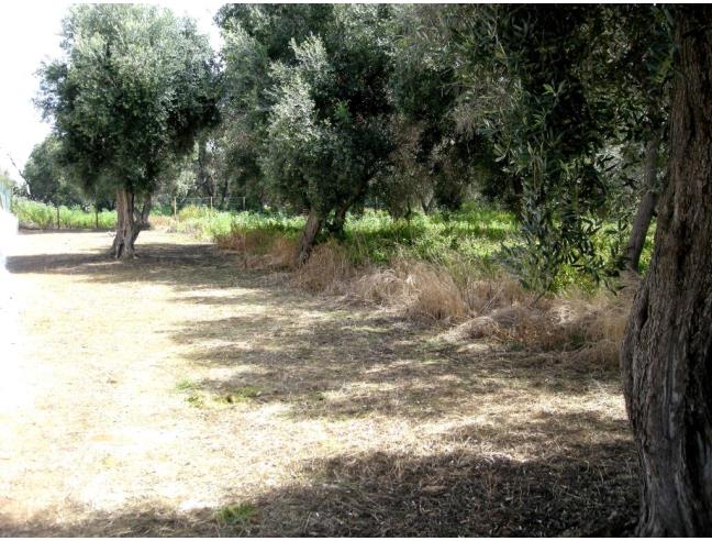 Anteprima foto 2 - Terreno Agricolo/Coltura in Vendita a Milazzo (Messina)