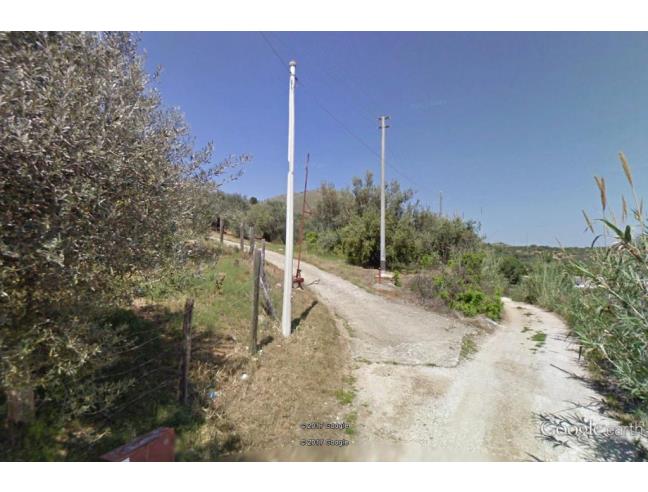 Anteprima foto 2 - Terreno Agricolo/Coltura in Vendita a Misilmeri (Palermo)
