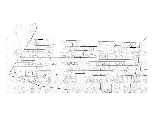 Anteprima foto 4 - Terreno Agricolo/Coltura in Vendita a Misilmeri (Palermo)