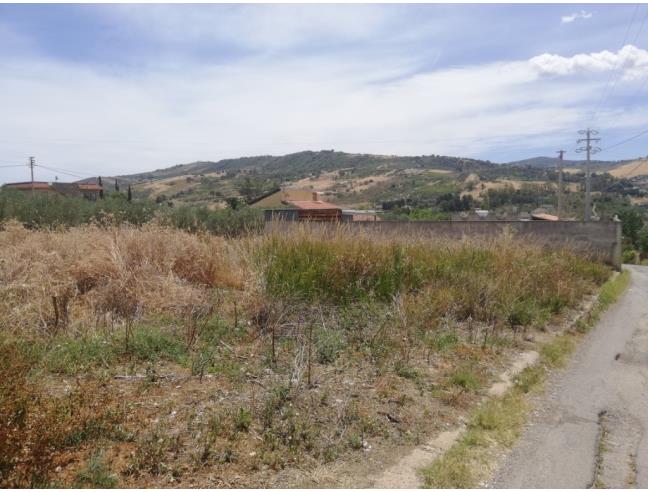 Anteprima foto 4 - Terreno Agricolo/Coltura in Vendita a Misilmeri (Palermo)