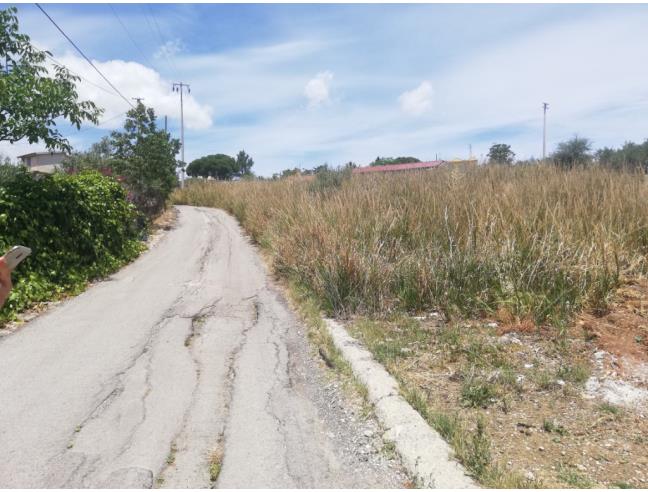 Anteprima foto 6 - Terreno Agricolo/Coltura in Vendita a Misilmeri (Palermo)