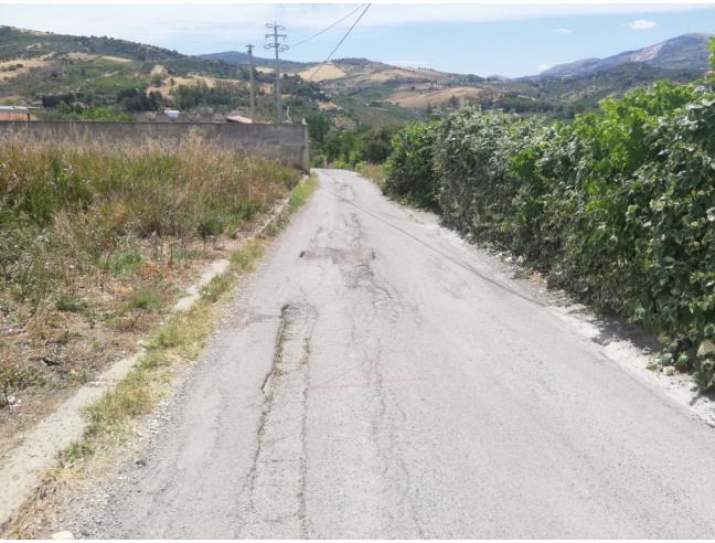 Anteprima foto 7 - Terreno Agricolo/Coltura in Vendita a Misilmeri (Palermo)