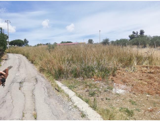 Anteprima foto 8 - Terreno Agricolo/Coltura in Vendita a Misilmeri (Palermo)