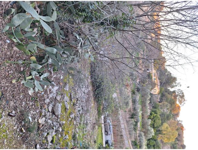 Anteprima foto 1 - Terreno Agricolo/Coltura in Vendita a Modica - Marina Di Modica